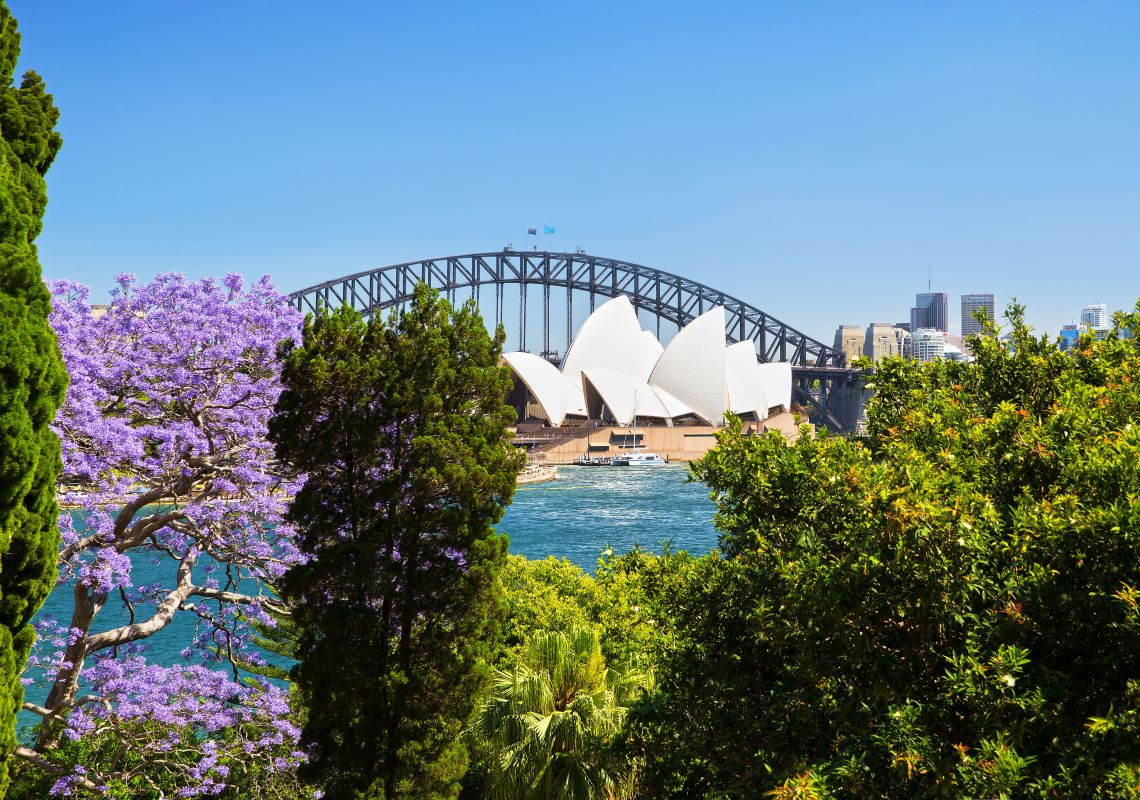 The Royal Botanic Gardens in Sydney